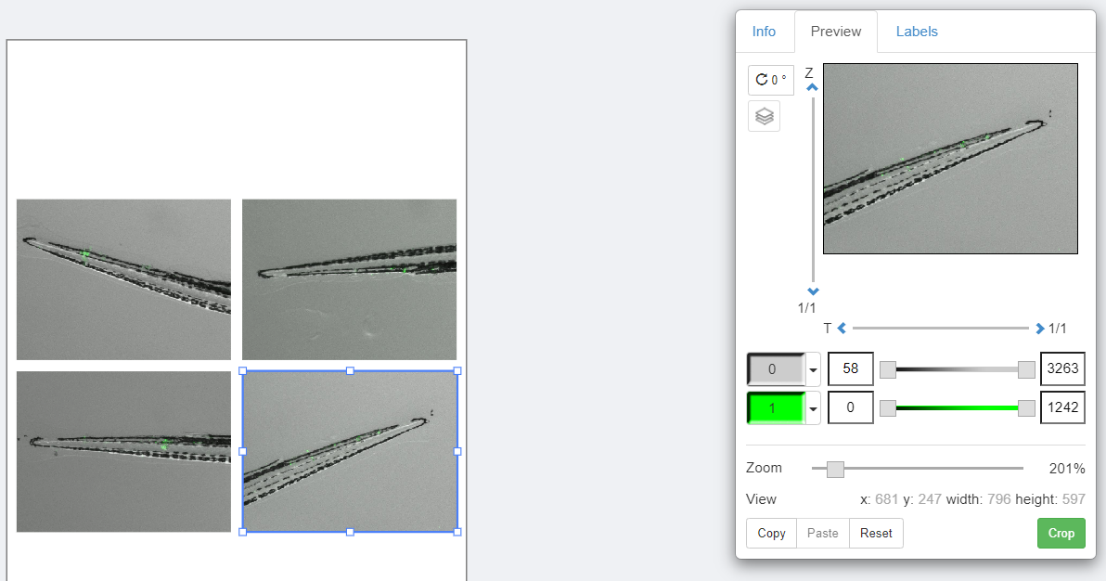 Figure preview panel